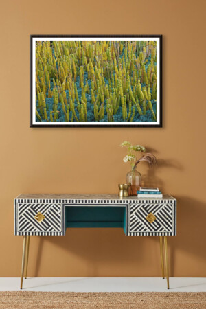 waiting for the concert to begin