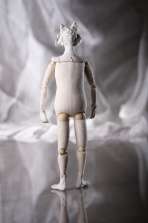 ii. the fox/the high priestess